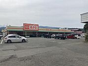 ザ・ビッグ 鳥栖店（1060m）