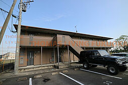 セイシェル大山 C213