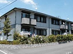 デルフィーノ （コピー） A207