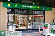 マルエツプチ新川一丁目店 328m