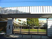 青山学院幼稚園 556m