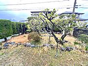 土地面積約７０坪の整形地！南道路に付き陽当たり良好。リノベーション工事でお好みのお家に変身させてください。