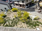 現地（2026年3月）撮影　　　6区画のショット