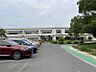 周辺：名和小学校まで　937m　徒歩約12分●教育目標「知、徳、体」の調和のとれた、心身ともに健康で人間性豊かな児童の育成。地域の伝統にも親しむことのできる学校です。