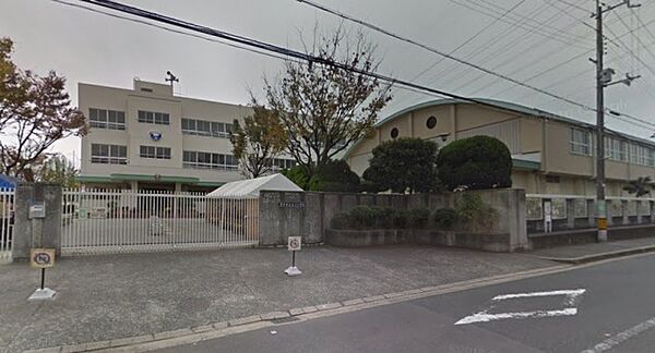 画像29:茨木市立白川小学校(小学校)まで79m