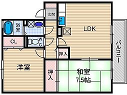 グランメールコート 2階/-