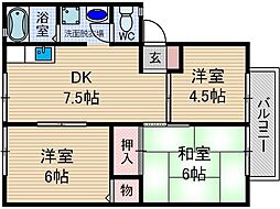 サンビレッヂ新和B棟 2階/-