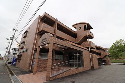 外観 外観
