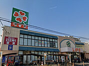 ライフ正雀店(スーパー)まで503m