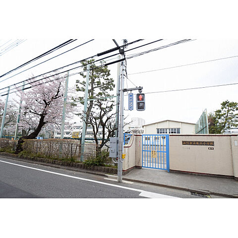 周辺 マイキャッスル立川エクセレントステージ 5階/-