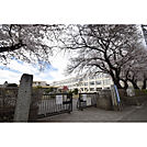 富士見丘小学校