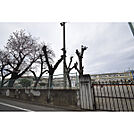 第四小学校