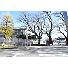 第七小学校