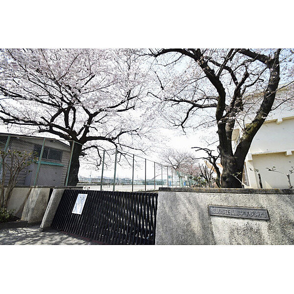 周辺を拡大表示