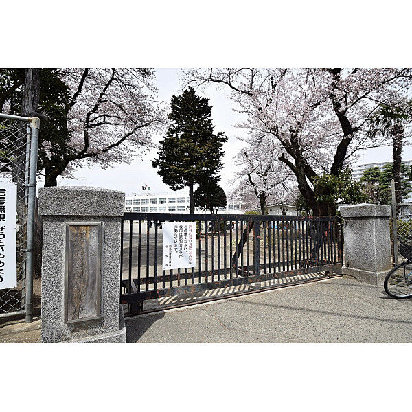 周辺を拡大表示