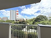 ベランダから正面眺望。街中で緑と青のコントラストが豊かに感じられるのは、光風ハイツの隠れた魅力の一つです。