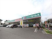 ドラッグセイムス守山新城店（ドラッグストア）（880m）