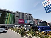 mozo WONDER CITY（モゾワンダーシティ） （ショッピングセンター）（1000m）