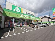 ジップドラッグ白沢権現通店 （ドラッグストア）（290m）