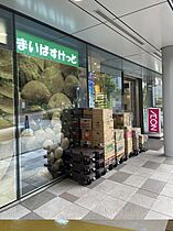 コンシェリア大崎 ＣＲＯＳＳＩＡ  ｜ 東京都品川区豊町1丁目3番15（賃貸マンション1K・12階・22.46㎡） その28