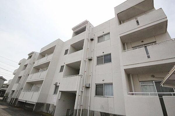 香川県高松市太田上町(賃貸マンション3DK・3階・48.00㎡)の写真 その3