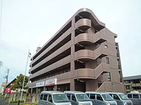 香川県綾歌郡宇多津町浜三番丁（賃貸マンション1LDK・3階・46.16㎡） その3