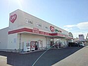 くすりのレデイ坂出南店まで888ｍ