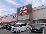 マルアイジェームス山 約758ｍ