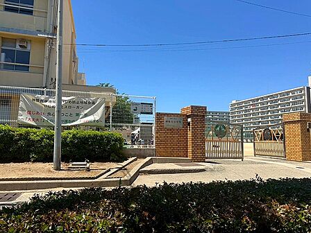 神戸市立神陵台小学校 約540m
