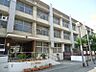 周辺：野中小学校