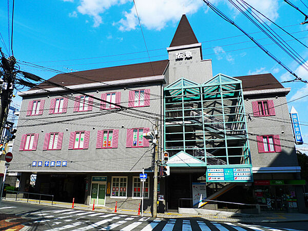 周辺を拡大表示