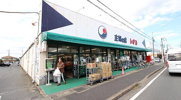 画像22:主婦の店いずみ江戸川台店(264m)