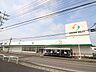 周辺：ジャパンミート卸売市場流山店(1、139m)