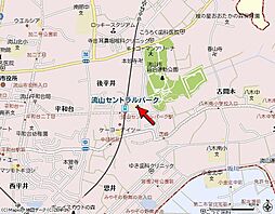 セントラルパーク　ウッズ