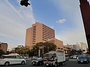 役所「広島市役所まで954ｍ」