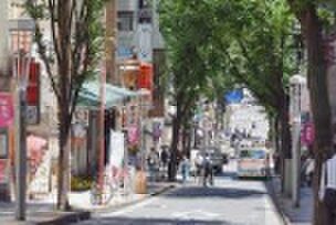 東京都新宿区新小川町(賃貸マンション1LDK・8階・66.71㎡)の写真 その24