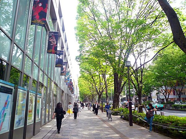 東京都渋谷区神宮前４丁目(賃貸マンション1R・4階・33.16㎡)の写真 その20