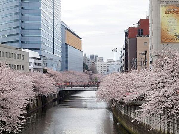 東京都目黒区下目黒２丁目(賃貸マンション1R・3階・32.24㎡)の写真 その20