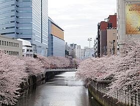 東京都目黒区下目黒２丁目2-2（賃貸マンション1R・1階・32.24㎡） その20