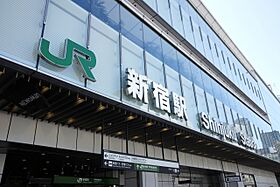 東京都新宿区新宿６丁目（賃貸マンション1LDK・9階・32.22㎡） その19