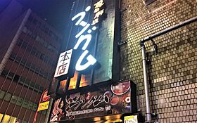 東京都新宿区歌舞伎町２丁目（賃貸マンション1LDK・8階・40.23㎡） その29