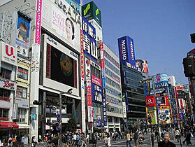 東京都新宿区新宿１丁目（賃貸マンション1R・3階・30.30㎡） その30