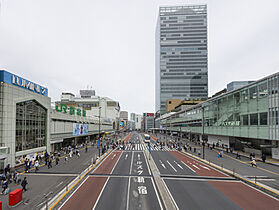 東京都新宿区新宿５丁目（賃貸マンション2LDK・7階・53.96㎡） その28