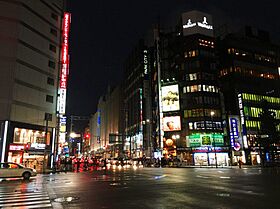 東京都新宿区新宿５丁目（賃貸マンション1LDK・地下6階・40.12㎡） その26