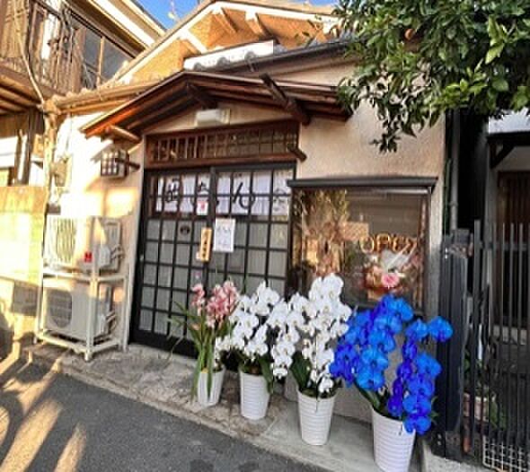 周辺を拡大表示