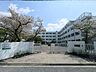 周辺：高槻市立柳川中学校（623m）