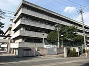 吹田市立千里丘中学校（498m）