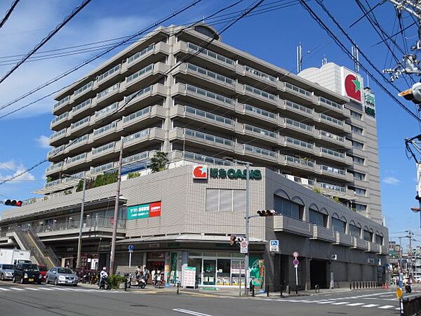 周辺を拡大表示