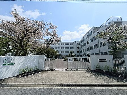 高槻市立柳川中学校(206m)