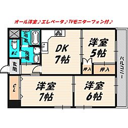 グランドシャトー鴫野 3DKの間取図画像